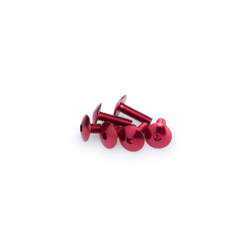 BLISTER 6 TORNILLOS ABOMBADO M6X20MM. C/ROJO